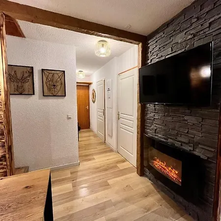 Apartment Grand Duplex 84m2 Pied Des Pistes 10 Personnes Les Deux Alpes